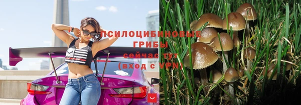 амф Алексеевка