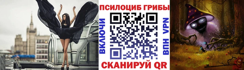 гидра ONION  Грайворон  Псилоцибиновые грибы Psilocybine cubensis 